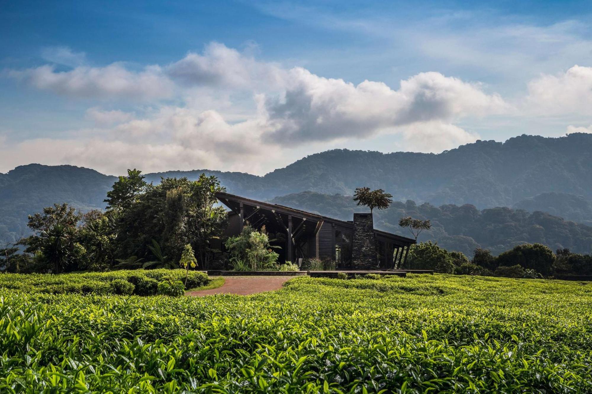 One&Only Nyungwe House Villa Rwumba Екстериор снимка