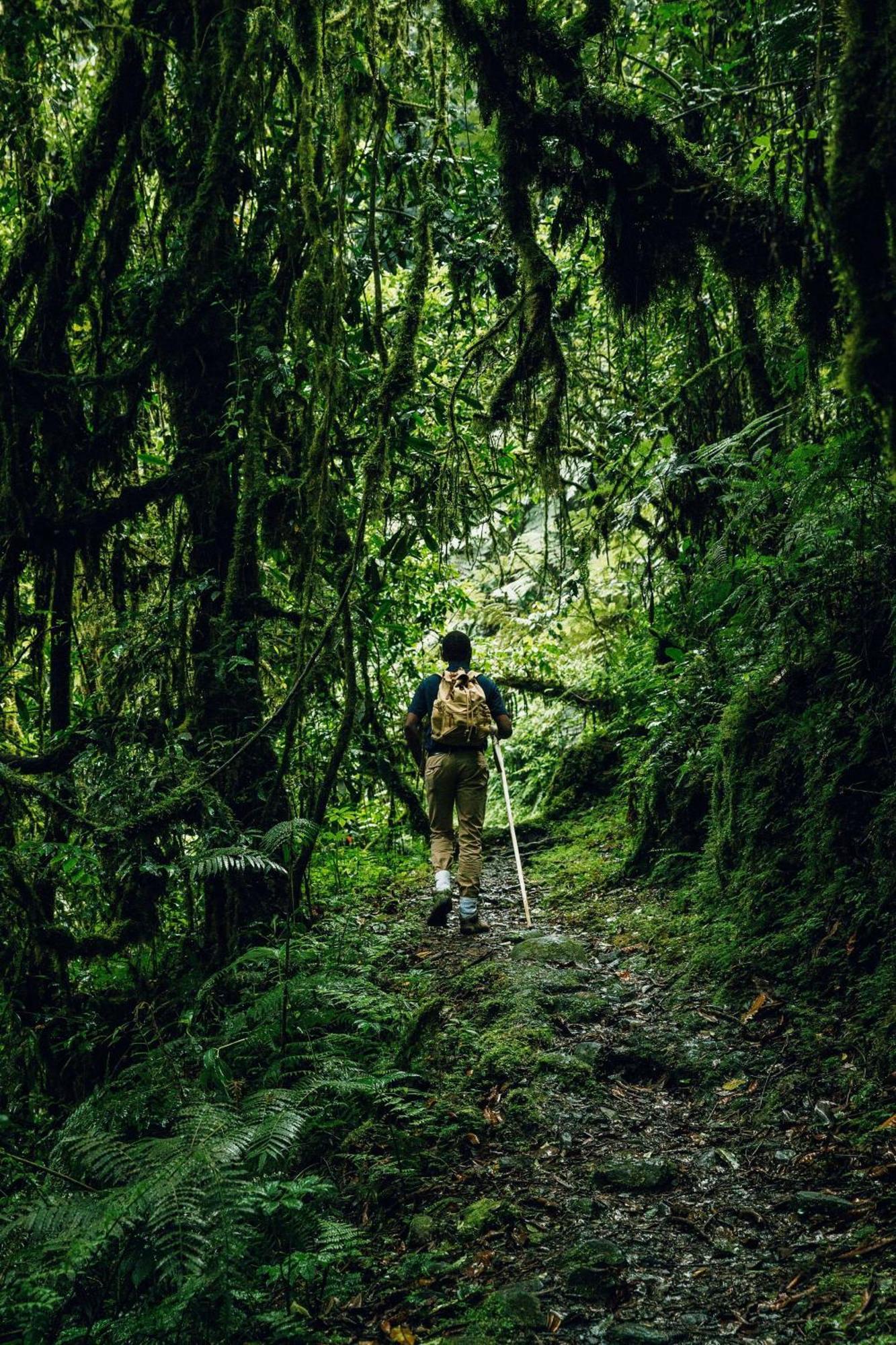 One&Only Nyungwe House Villa Rwumba Екстериор снимка